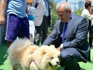 Doğaseverler Sıracevizliler Parkı’nda Buluştu