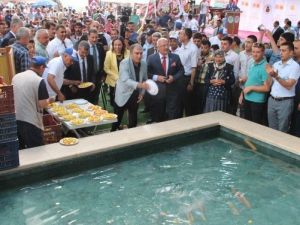 Bereket İçin Dilek Havuzuna Kayısı Döktüler