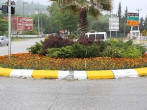 Yeşil Sapanca’da Çiçekler Açıyor