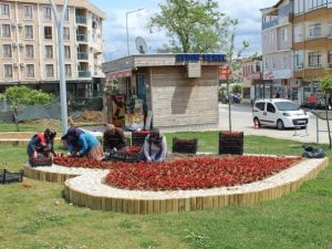 Akçakoca Çiçeklerle Süsleniyor