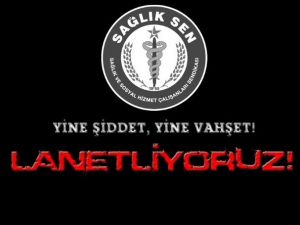 Aydın Sağlık-Sen’den Hekime Yönelik Saldırıya Kınama
