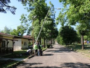 Düzce Orman İşletmesi Aydınlatılıyor