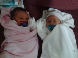 Tandoğan Çiftçinin İkiz Bebek Sevinci