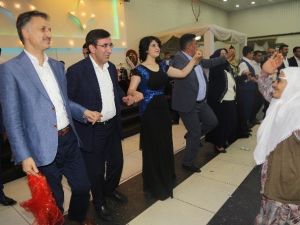 Siyasete ‘Halay’ Molası