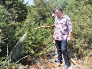 Sandalcı, Arıtma Tesisi'ni İnceledi