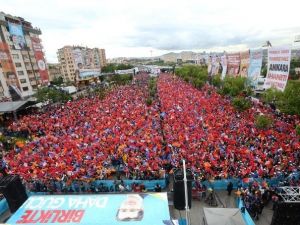 Başbakan Ahmet Davutoğlu: