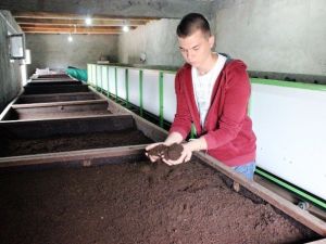 Merakla Başlayan Solucan Gübresi Üretimi Tüm Trakya’ya Yayıldı