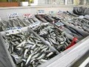 Balık Satıcıları Bilgilendirildi