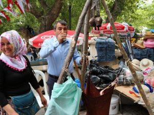 Mut Karacaoğlan Kayısı Kültür Ve Sanat Festivali Sona Erdi