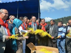 Dağ Yöresi İpek Böceği İle Kalkınıyor