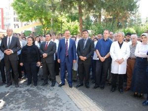 Op.dr.kamil Furtun İçin Anma Töreni