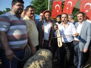 Başkan Toltar Şölen Ağası Oldu