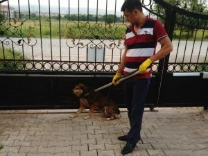 Kartepe’de Zabıtası’ndan Örnek Davranış