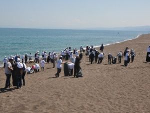 Akçakoca’da Gençler Plajları Temizledi