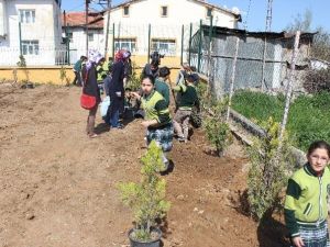 Üniversite Öğrencilerinden Örnek Davranış