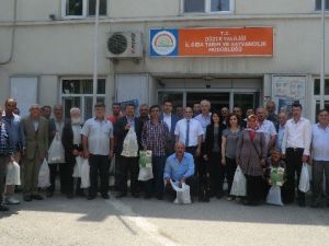 Üretici “Fındık Yeşil Kokarcası” Zararlısına Karşı Bilinçleniyor
