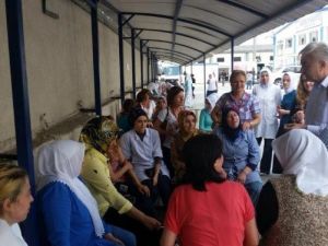 Teber Gittiği Her Yerde İlgi Görüyor