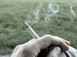 Light Sigara Tuzağı