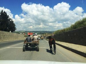 AT Arabası Trafikte Cirit Atıyor