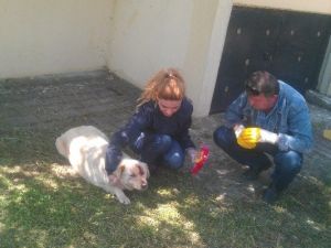 Zabıta Her İhbarı Değerlendiriyor