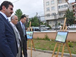 Giresun Temalı Yarışmaların Ödül Töreni Düzenledi