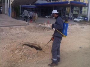 Silvan’da Haşerelere Karşı İlaçlama Çalışmaları Başladı