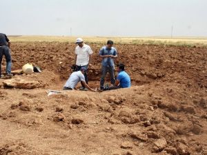 Nusaybin’de Tunç Dönemine Ait Mezar Bulundu