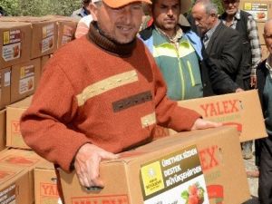 Büyükşehir’den Çiftçiye 4 Milyon Liralık Çilek Desteği