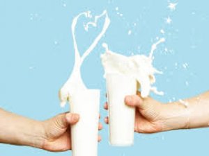 Sağlıksız Süt Kalmayacak