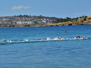 4. Tyf-dto İzmir Açık Su Yüzme Türkiye Şampiyonası Foça’da
