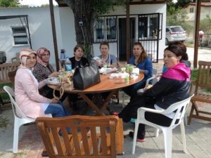 Maliyeciler Moral Pikniğinde Buluştu