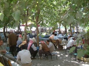 Siirt’te Sıcaklık 35 Dereceye Çıktı