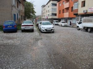 Oltu’da Dolu Yağışı Zarara Yol Açtı