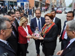 Meral Akşener’in Bozüyük Ziyareti