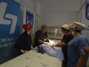 Büyükşehir’den 2015 Yılında 2015 Çocuğa Sünnet