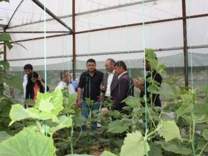 Gördes Kaymakamı Bilgin, Seraları Yerinde İnceledi