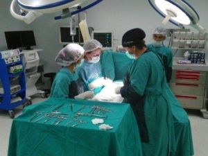 Engelli Bireylerin Diş Tedavileri Artık Daha Kolay