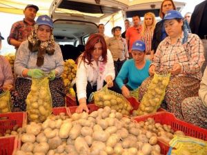 Aydın’da 20 Bin Aileye Patates Dağıtılacak