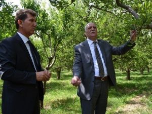 Niğde Ziraat Odası Başkanı Veli Kenar;