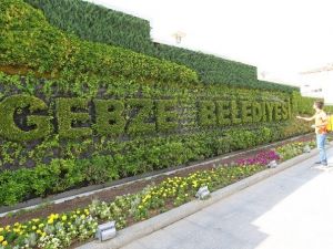 Gebze Kent Meydanı Rengarenk Çiçek Açtı