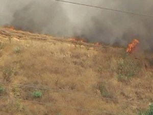 Buğday Tarlasındaki Yangın 20 Dönümlük Alanı Kül Etti