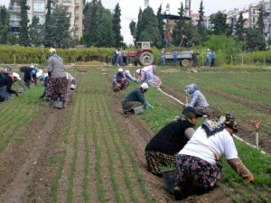 Aydın İŞKUR’dan 5000 Kişiye İş İmkanı