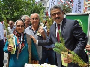 Başkan Alıcık, Dünya Çevrecilik Gününde Fidan Dağıttı