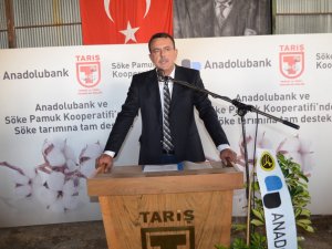 Söke Tariş Pamuk Kooperatifi Pamuğu Peşin Paraya Alacak