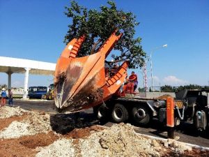 Tulumba Köprüsü Civarındaki Ağaçlar Koruma Altına Alındı