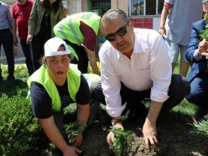 Özel Çocukların Çiçekleri Yunusemre’yi Güzelleştirdi