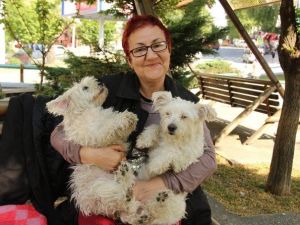 Köpek Sevgisi Evi Terk Ettirdi