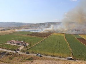 Gaziantep’te 120 Dönüm Ekili Alan Kül Oldu