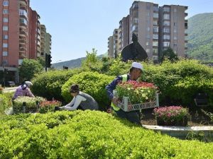 Yıldırım Belediyesi’nden Bir Ayda Bin 113 Ağaç
