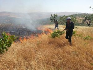 Siirt’te İlkel Yöntemlerle Yangın Söndürme